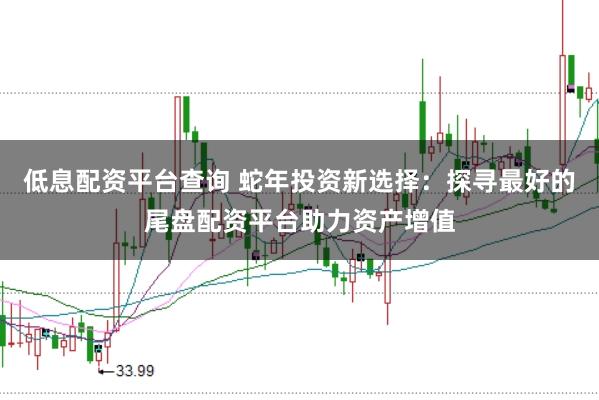 低息配资平台查询 蛇年投资新选择：探寻最好的尾盘配资平台助力资产增值