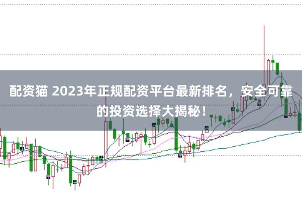 配资猫 2023年正规配资平台最新排名，安全可靠的投资选择大揭秘！