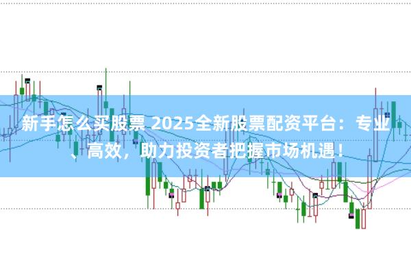 新手怎么买股票 2025全新股票配资平台：专业、高效，助力投资者把握市场机遇！