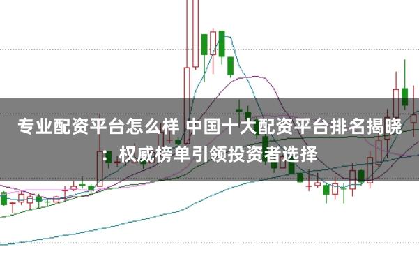 专业配资平台怎么样 中国十大配资平台排名揭晓：权威榜单引领投资者选择