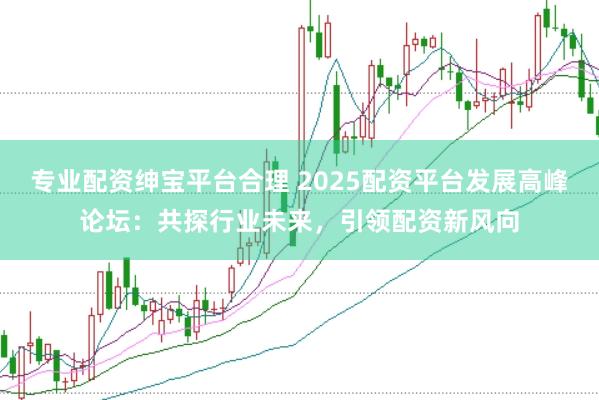 专业配资绅宝平台合理 2025配资平台发展高峰论坛:共探行业未来,引领配资新风向