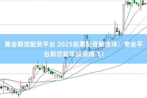 黄金期货配资平台 2025股票配资新选择：专业平台助您蛇年投资腾飞！
