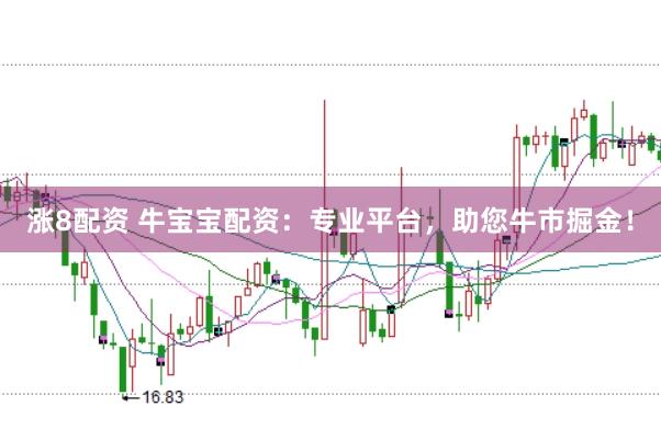 涨8配资 牛宝宝配资：专业平台，助您牛市掘金！