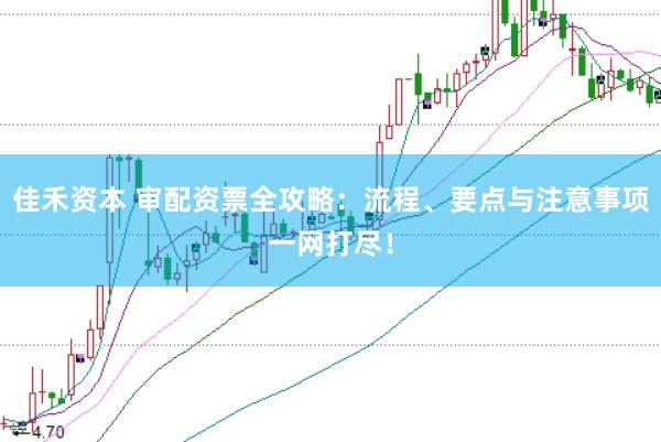 佳禾资本 审配资票全攻略：流程、要点与注意事项一网打尽！