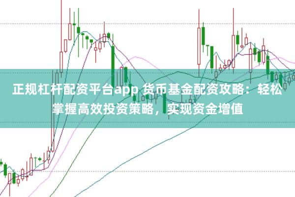 正规杠杆配资平台app 货币基金配资攻略：轻松掌握高效投资策略，实现资金增值