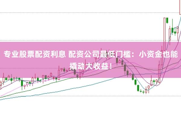 专业股票配资利息 配资公司最低门槛：小资金也能撬动大收益！