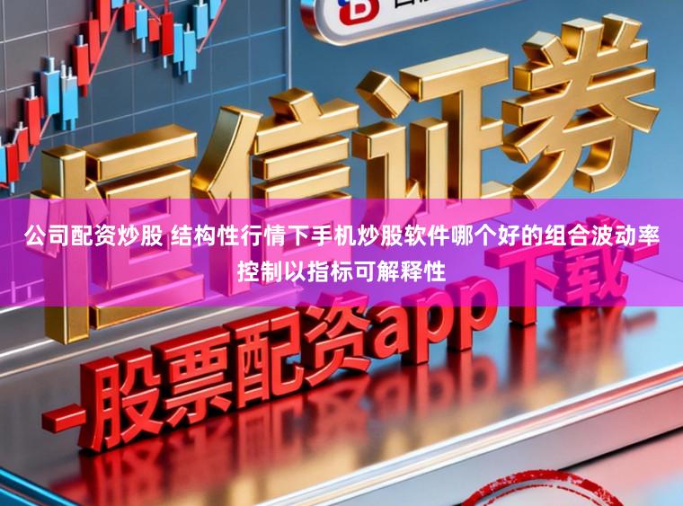 公司配资炒股 结构性行情下手机炒股软件哪个好的组合波动率控制以指标可解释性