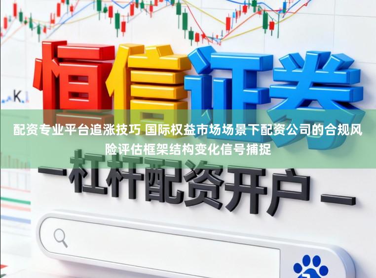 配资专业平台追涨技巧 国际权益市场场景下配资公司的合规风险评估框架结构变化信号捕捉