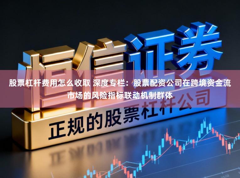 股票杠杆费用怎么收取 深度专栏:股票配资公司在跨境资金流市场的风险指标联动机制群体