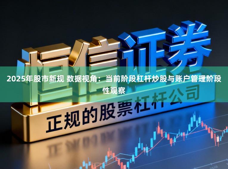 2025年股市新规 数据视角：当前阶段杠杆炒股与账户管理阶段性观察